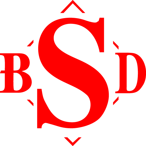 https://bsd-group.ir